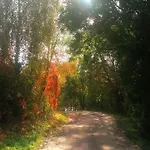 Na Mazurskim Wzgorzu * Mertinsdorf