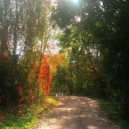 Na Mazurskim Wzgorzu * Mertinsdorf