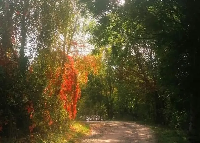 Na Mazurskim Wzgorzu * Mertinsdorf